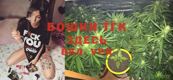 стаф Верхний Тагил