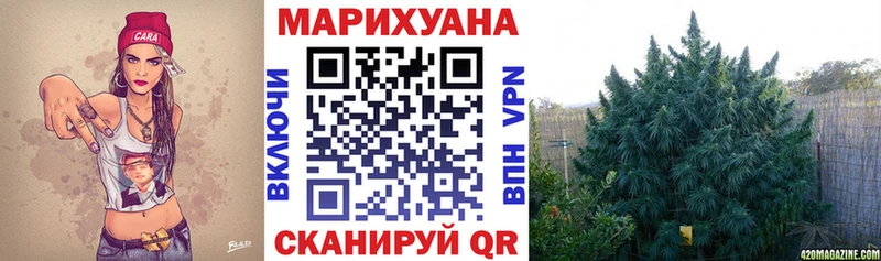 Купить где  Магас  Бошки марихуана планчик 